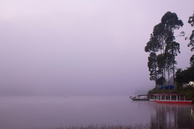 boats docked on a woodsy shore on a misty lake, docked near the lake 4k