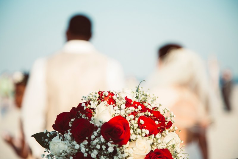 photography flower building and romance 4k
