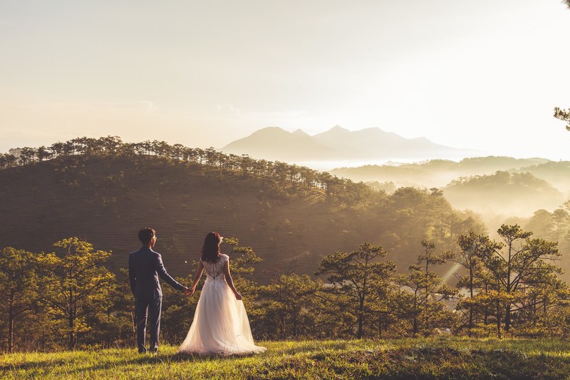 a married couple holds hands looking into the distance in a grassy wooded area in the dalat hills, wedding couple dalat mountains 4k