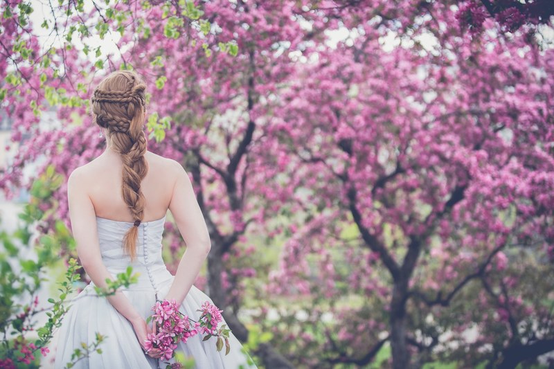 a woman in a wedding dress strolling along trees covered with pink flowers, bride in an orchard 4k