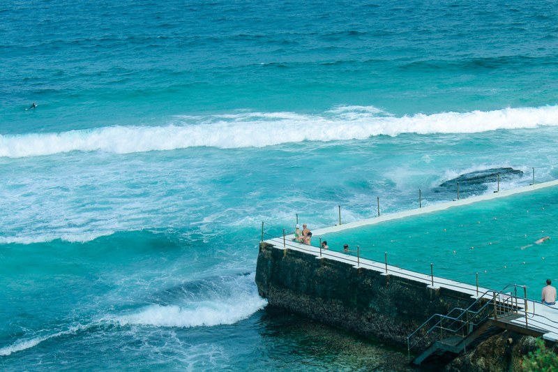 bondi swimmers 4k