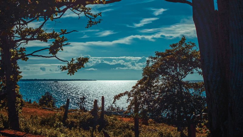 river, shore, trees, sunlight, 4k