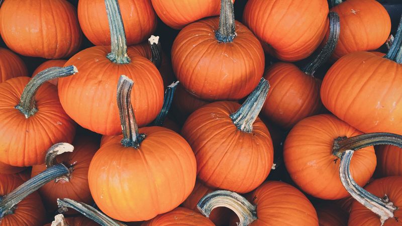 pumpkin, vegetables, autumn, 4k