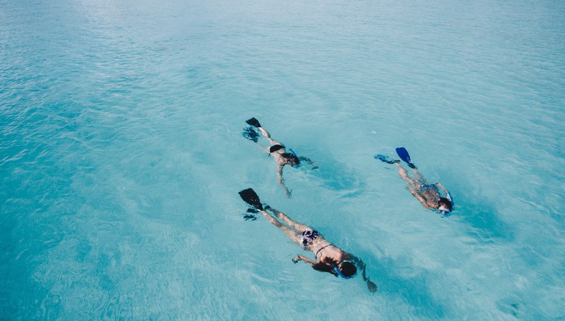 ocean swimming top view and snorkeling 4k