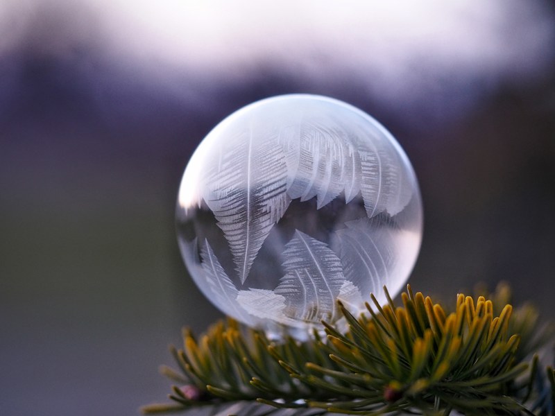 a single frozen water droplet sitting on an evergreen branch, frozen water droplet 4k