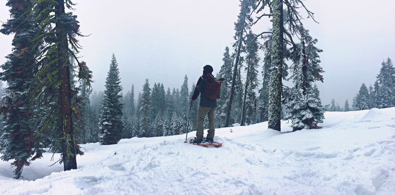 a person skiing in the forest at yosemite national park in california, yosemite national park skiing 4k