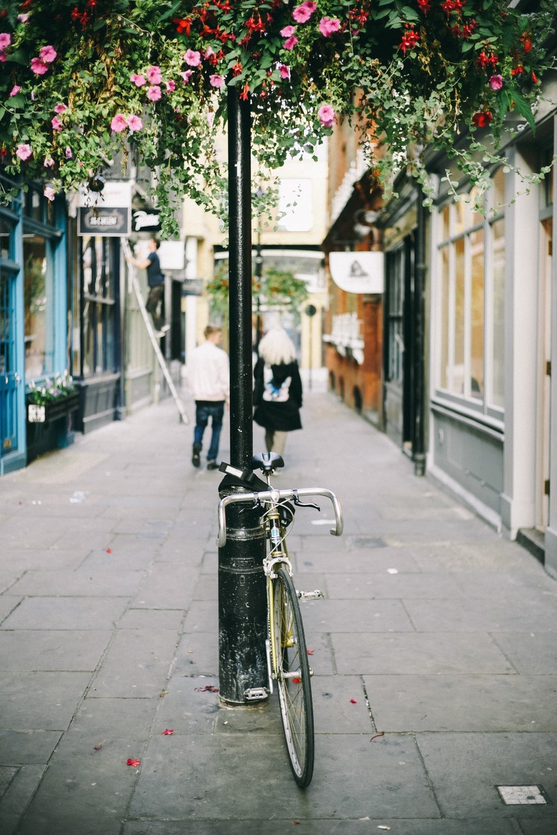 a bicycle attached to a street post under a canopy of pink and red flowers, urban bicycle under flowers 4k