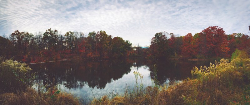 a picturesque panorama of a lake surrounded by yellow and red autumn vegetation, red trees around a lake 4k