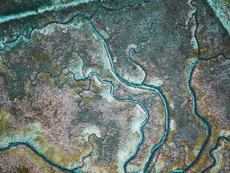 veins of earth 4k