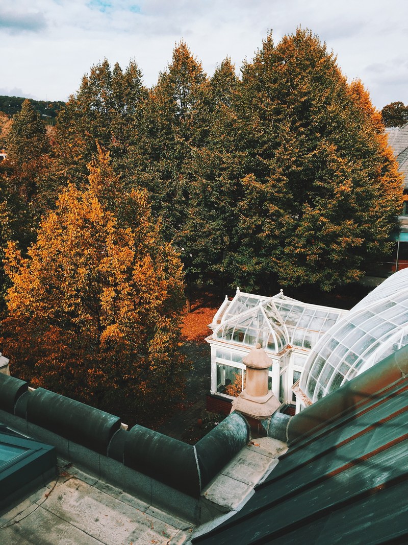 soil roof green and orange hd, 4k