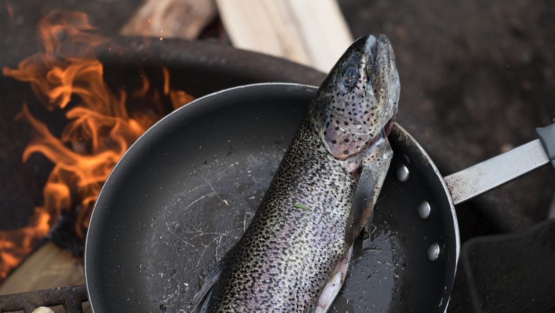 freshly caught trout cooking in a skillet over an open flame, fish over a campfire 4k