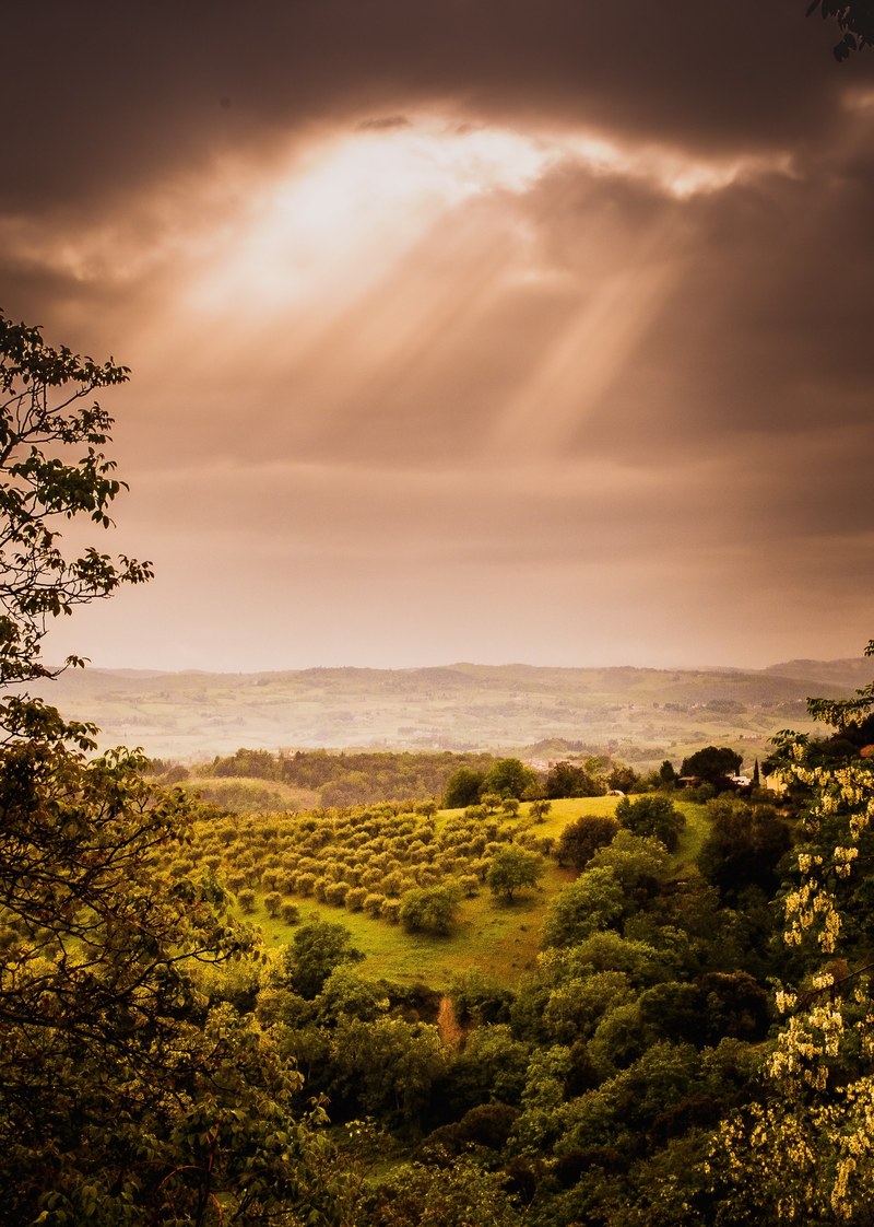 sunbeams 4k