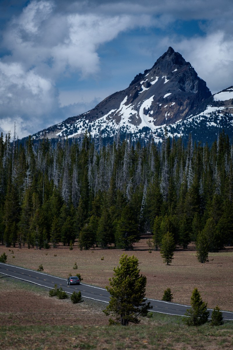 mountain tree peak and rocky hd, 4k