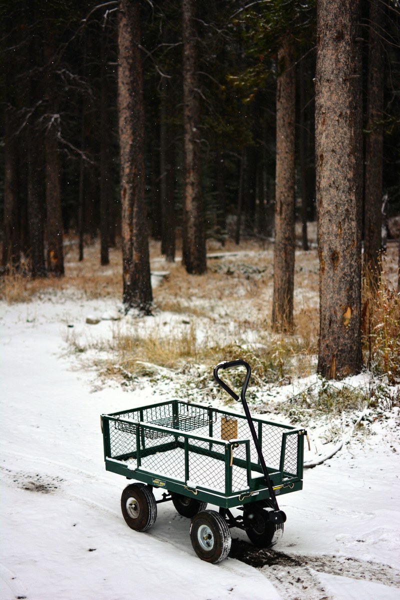 a small empty handcart on a snowy path at the edge of the forest, handcart in the snow 4k