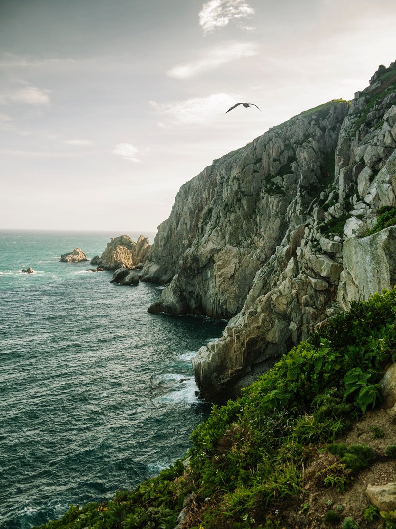 landscape eagle bird and hiking hd, 4k