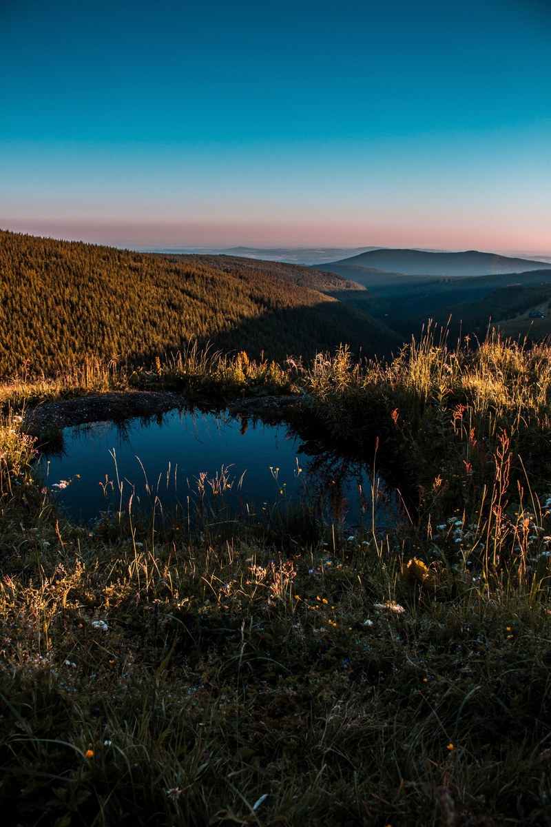 tree mountain meadow and pond hd, 4k