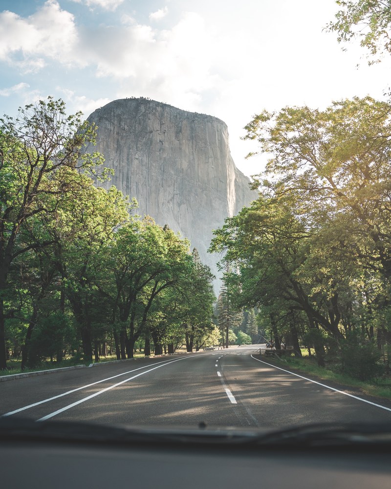 road tree sunrise and road trip hd, 4k