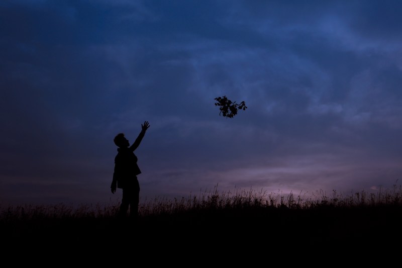 a silhouette of a person throwing a leafy branch in the air at dusk, say goodbye 4k