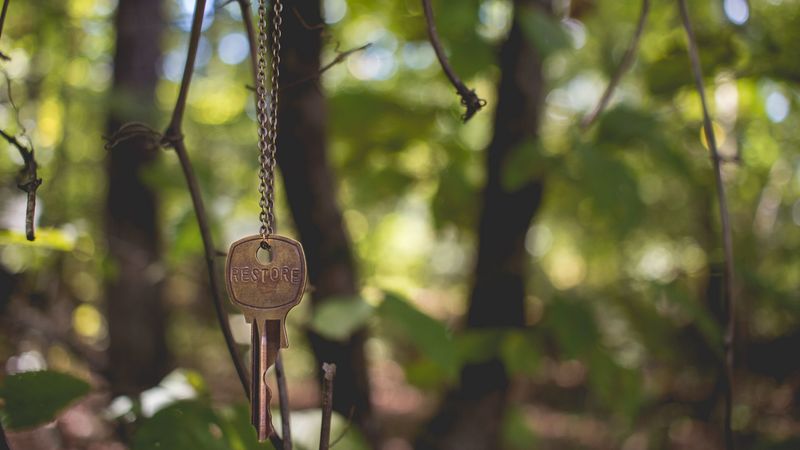 key, chain, blur, 4k