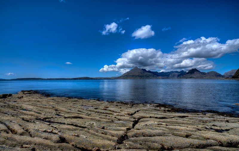 tree outdoor scenic and cloud 4k