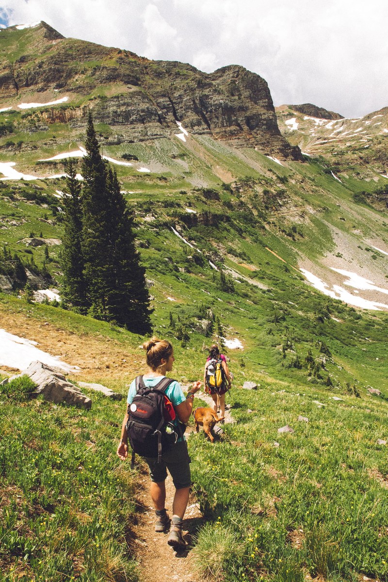 hiking trail women and dog hd, 4k