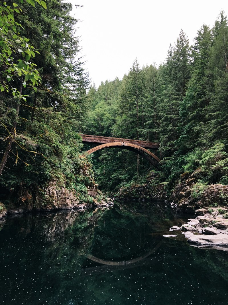 the bridge reflected in water in the forest over moulton falls, tree bridge 4k