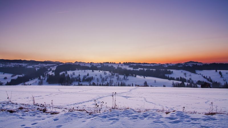 field, snow, winter, sunset, 4k