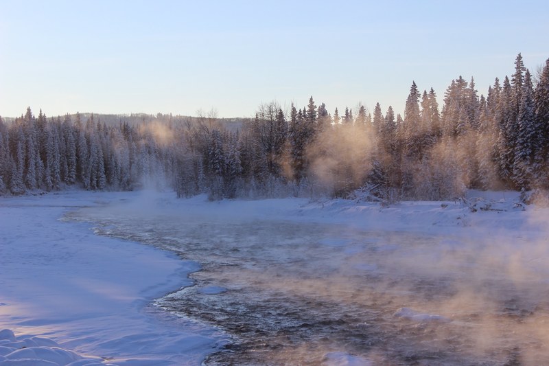 mist rises off snow in an evergreen forest as sunlight hits it, forest snow in sun 4k