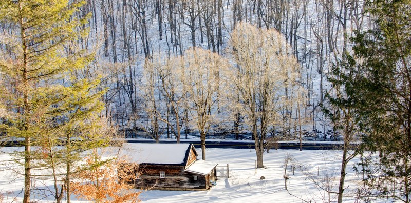 a snow covered cabin sits in solitude amidst trees and snow, the cabin in the woods 4k