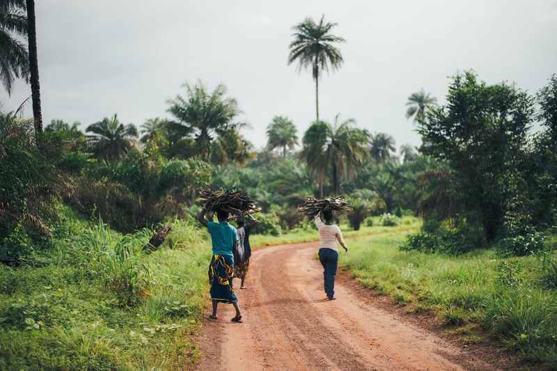 people holding firewood over their heads while walking down a dirt road in the sierra leone, sierra leone firewood 4k