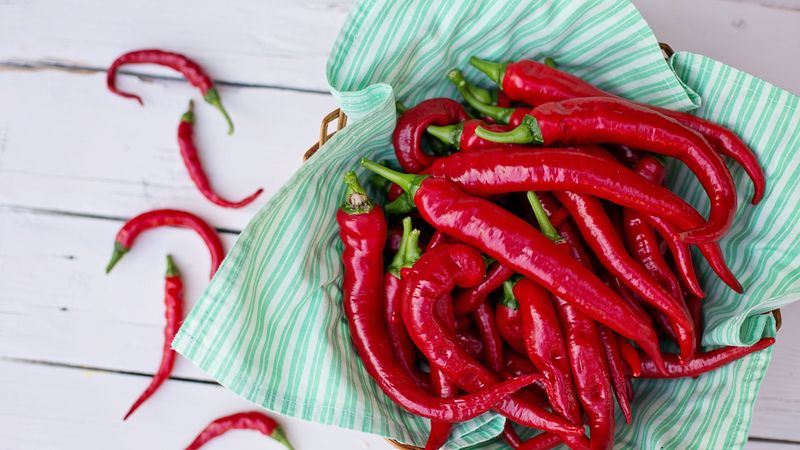 pepper, chili, vegetables, 4k