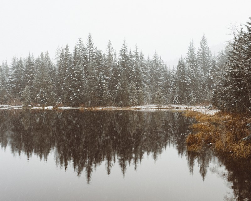 a row of evergreen trees lightly covered in snow are reflected in a lake just below them, fresh snow at trillium lake 4k