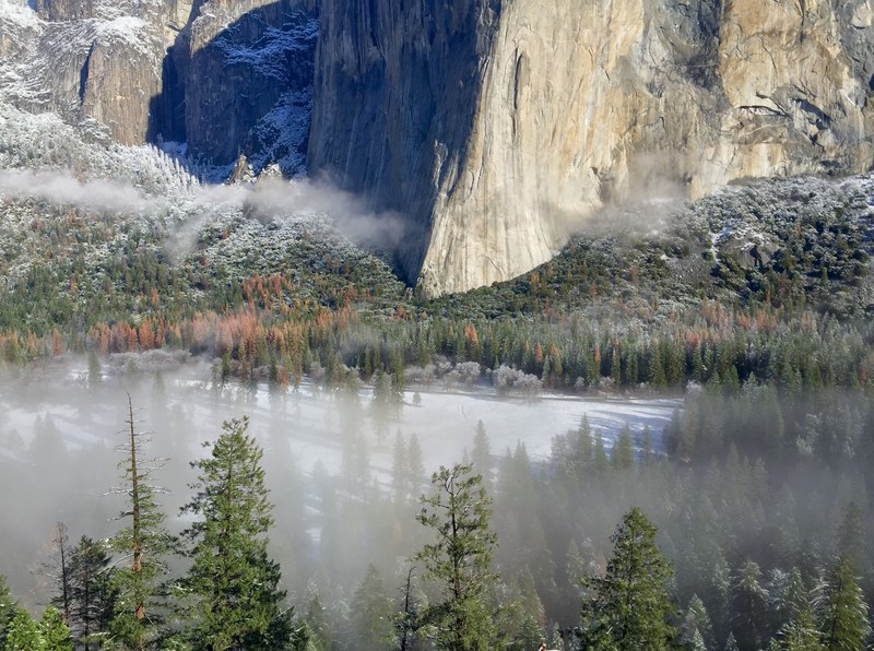 mist rolling on the pine forest and rocky mountains of the yosemite national park, misty day at yosemite 4k
