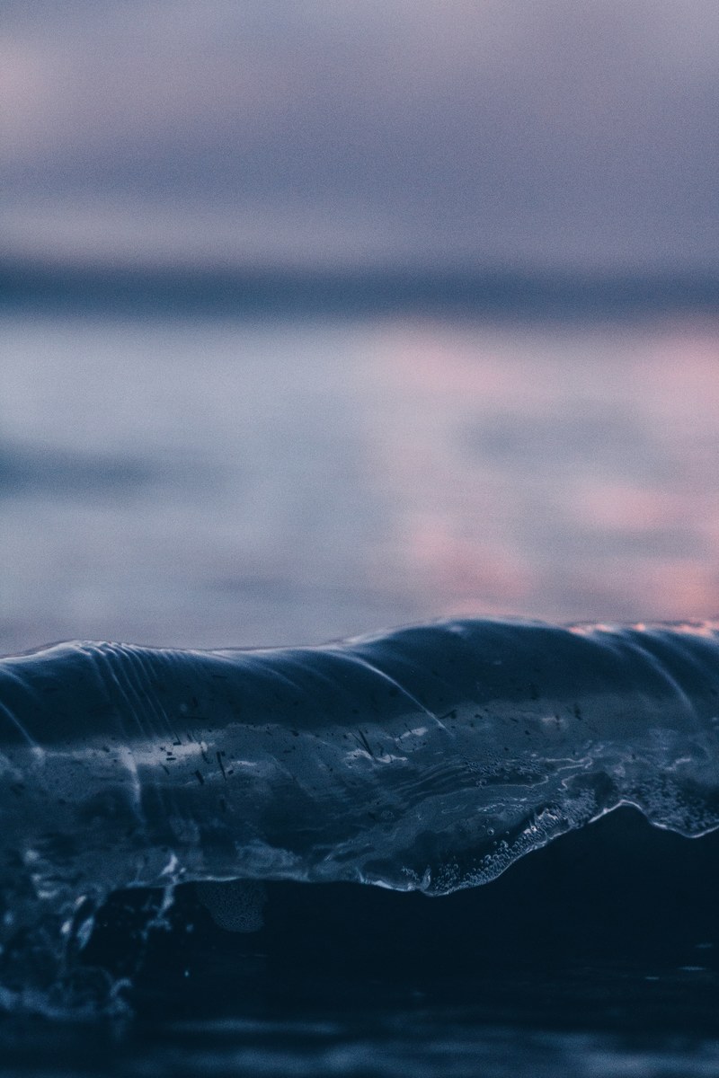 kohimarama sunset 4k