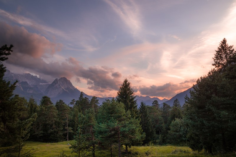 a coniferous forest with mountains crowning the horizon, evergreen forest in garmisch partenkirchen 4k