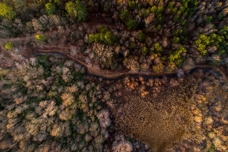 an aerial shot of a blue creek running through a diverse forest, woodland creek in drone view 4k