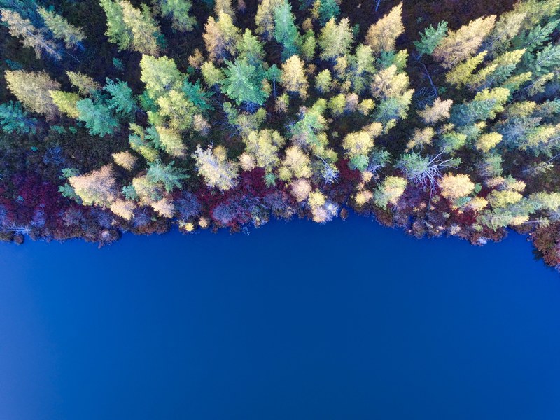 a drone view of a forest and blue lake in prudenville michigan united states, blue lake and colorful woods 4k