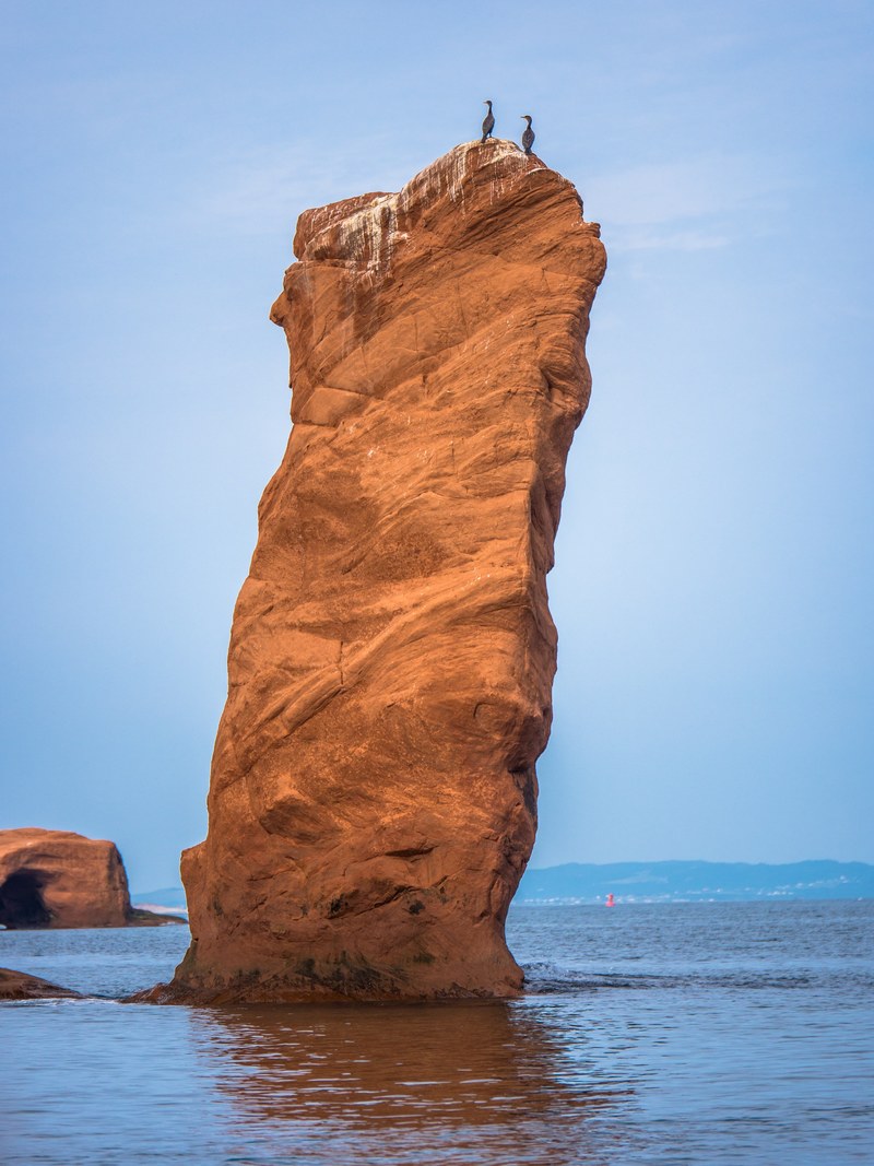 rock bird sea and water hd, 4k
