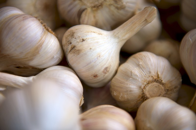 garlic vegetables, garlic bulbs 4k