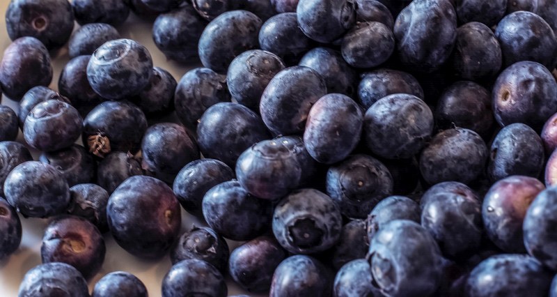 blue berry food blue and blueberry 4k