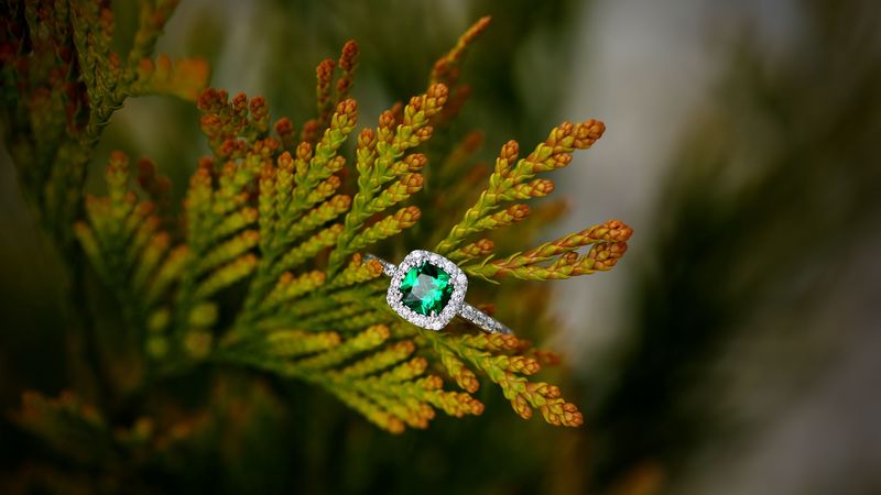 ring, stone, plant, 4k