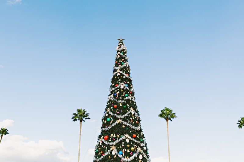christmas with holiday decorations looks festive among palm trees and a blue sky, christmas in la_ 4k
