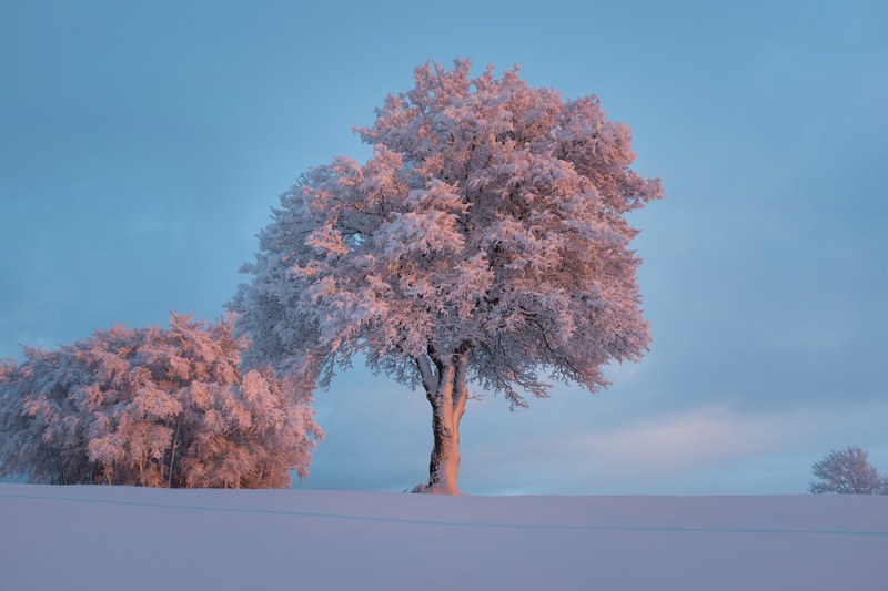 ice fog landscape and winter 4k