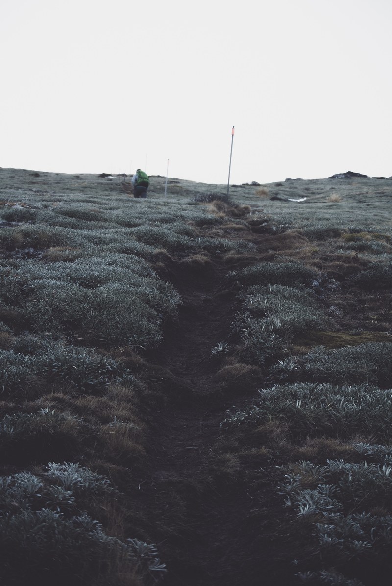 the path to pillars 4k