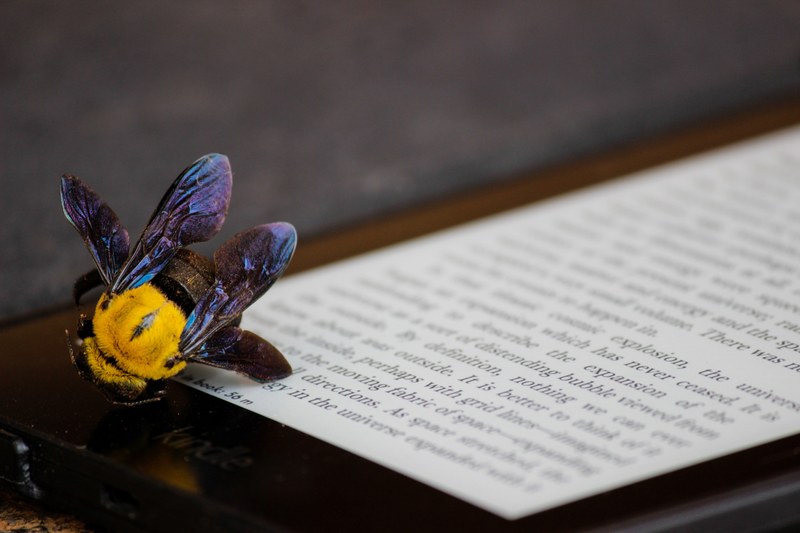 kindle bee electronic and tablet 4k