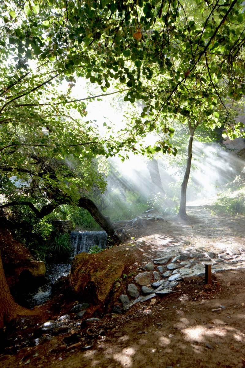 ray path spray and mist hd, 4k