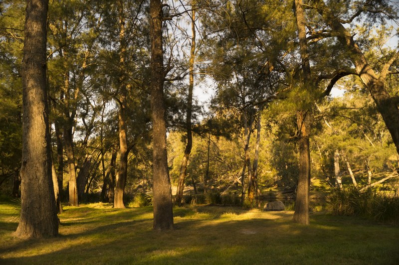 peaceful namoi river sunset and riverbank 4k