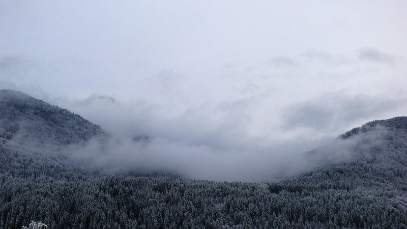 clouds falling into a forrest 4k