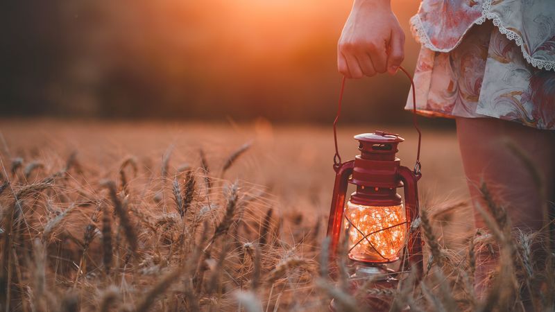 lamp, field, grass, hand, 4k