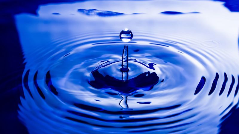 drop, close-up, circles, 4k